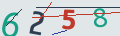 verifycode